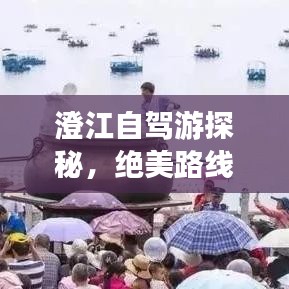 澄江自駕游探秘，絕美路線一網(wǎng)打盡！