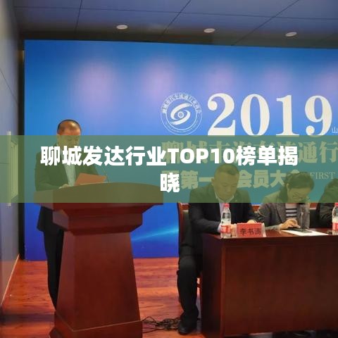聊城發(fā)達(dá)行業(yè)TOP10榜單揭曉