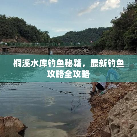 桐溪水庫(kù)釣魚秘籍，最新釣魚攻略全攻略