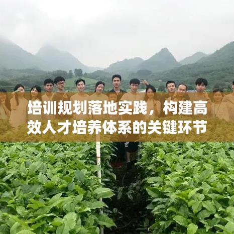 培訓(xùn)規(guī)劃落地實(shí)踐，構(gòu)建高效人才培養(yǎng)體系的關(guān)鍵環(huán)節(jié)