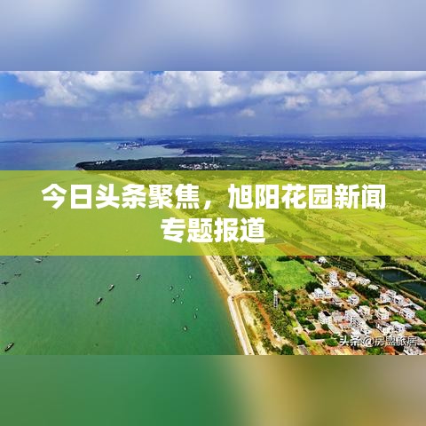 富貴逼人 第3頁(yè)