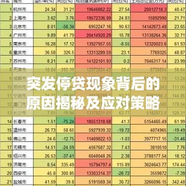 突發(fā)停貸現(xiàn)象背后的原因揭秘及應對策略探討