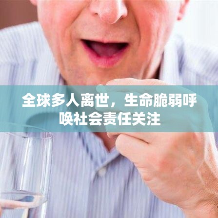 全球多人離世，生命脆弱呼喚社會責(zé)任關(guān)注