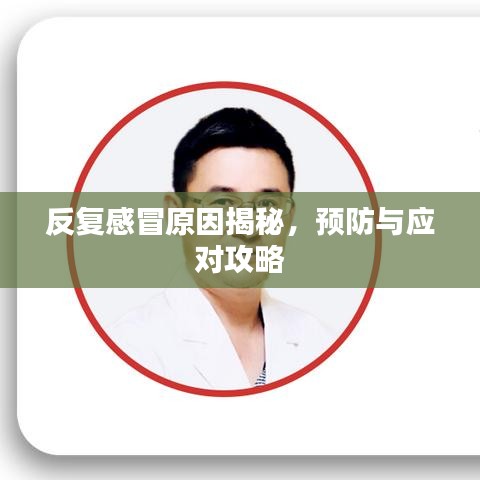 反復(fù)感冒原因揭秘，預(yù)防與應(yīng)對攻略