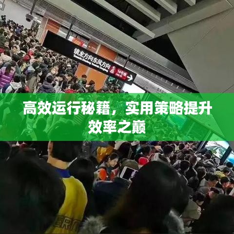 高效運行秘籍，實用策略提升效率之巔