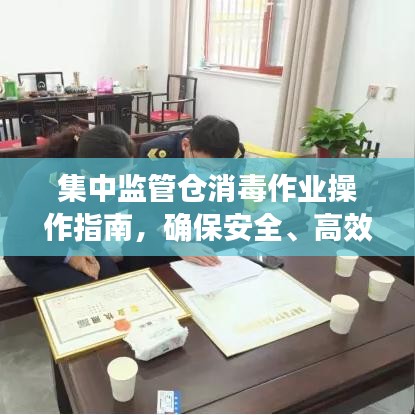 集中監(jiān)管倉消毒作業(yè)操作指南，確保安全、高效的消毒流程