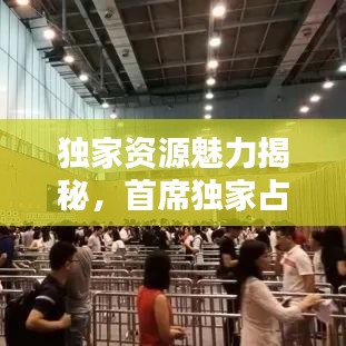 獨家資源魅力揭秘，首席獨家占有下載全攻略