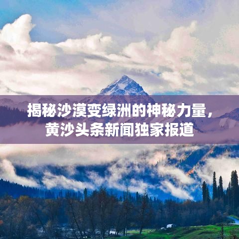揭秘沙漠變綠洲的神秘力量，黃沙頭條新聞獨(dú)家報(bào)道
