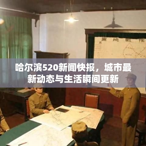 哈爾濱520新聞快報，城市最新動態(tài)與生活瞬間更新