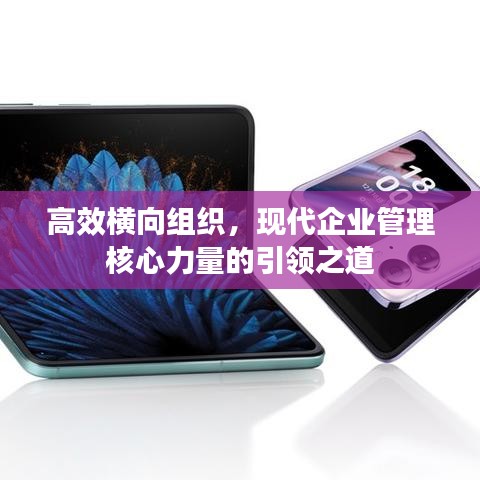 高效橫向組織，現(xiàn)代企業(yè)管理核心力量的引領(lǐng)之道
