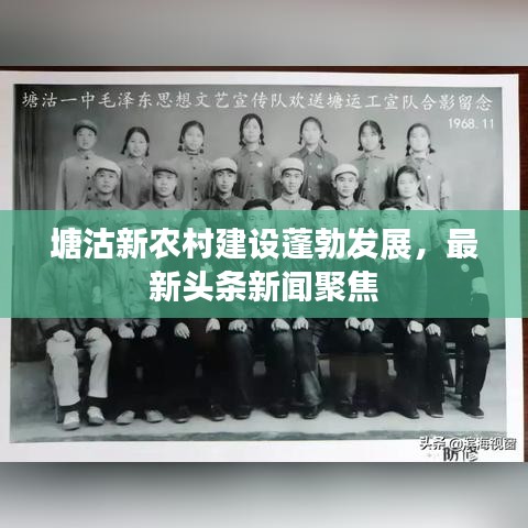 塘沽新農(nóng)村建設(shè)蓬勃發(fā)展，最新頭條新聞聚焦