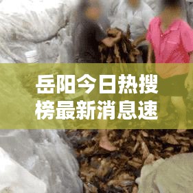 岳陽今日熱搜榜最新消息速遞