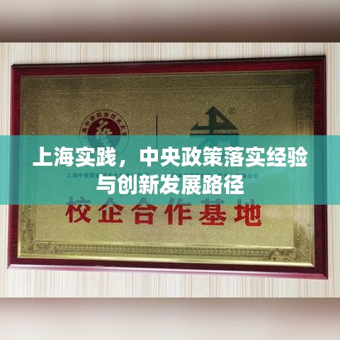 上海實(shí)踐，中央政策落實(shí)經(jīng)驗(yàn)與創(chuàng)新發(fā)展路徑