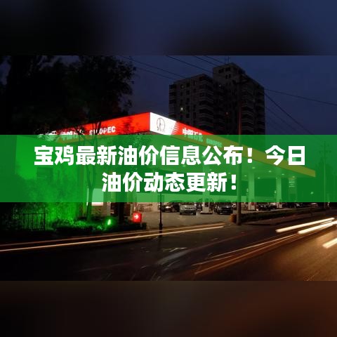 寶雞最新油價信息公布！今日油價動態(tài)更新！