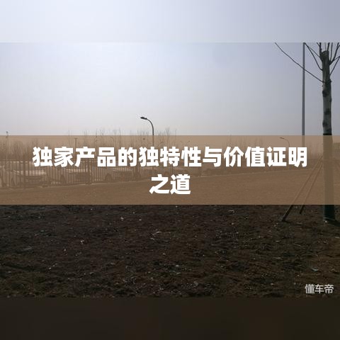獨(dú)家產(chǎn)品的獨(dú)特性與價(jià)值證明之道