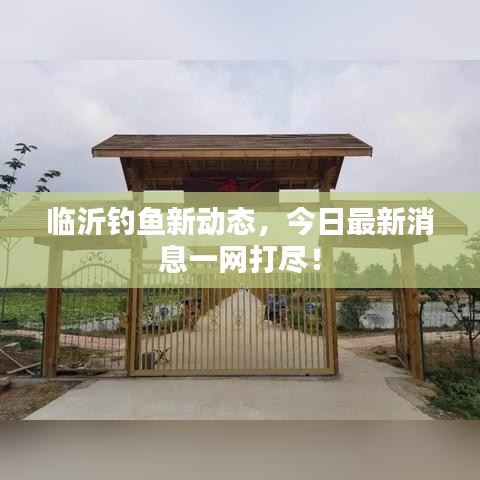 臨沂釣魚新動態(tài)，今日最新消息一網(wǎng)打盡！