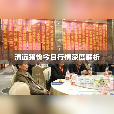清遠豬價今日行情深度解析