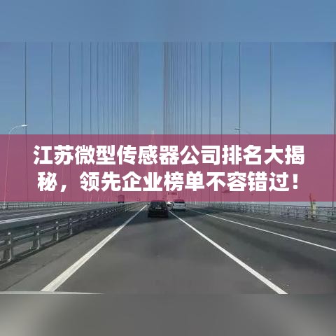 江蘇微型傳感器公司排名大揭秘，領先企業(yè)榜單不容錯過！