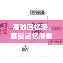高效回憶法，解鎖記憶潛能，提升記憶力