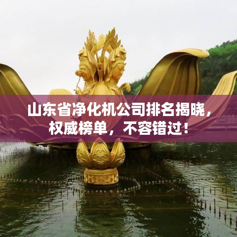 山東省凈化機(jī)公司排名揭曉，權(quán)威榜單，不容錯(cuò)過(guò)！