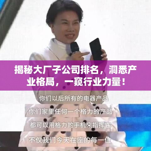 揭秘大廠子公司排名，洞悉產業(yè)格局，一窺行業(yè)力量！