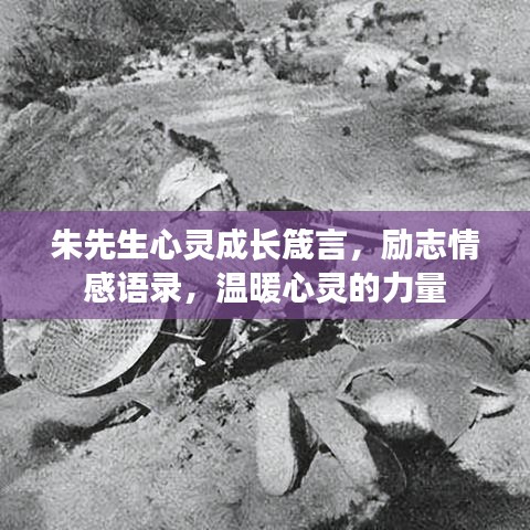 朱先生心靈成長箴言，勵志情感語錄，溫暖心靈的力量