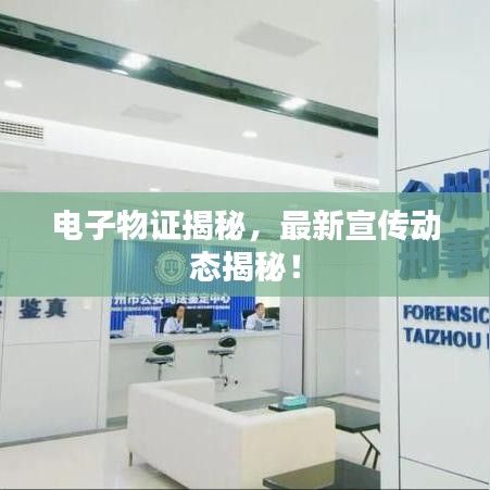 電子物證揭秘，最新宣傳動態(tài)揭秘！