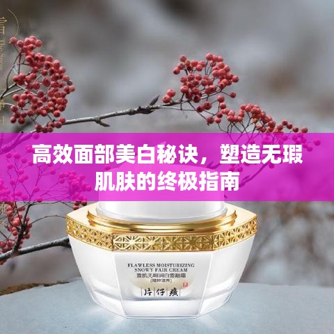 高效面部美白秘訣，塑造無瑕肌膚的終極指南