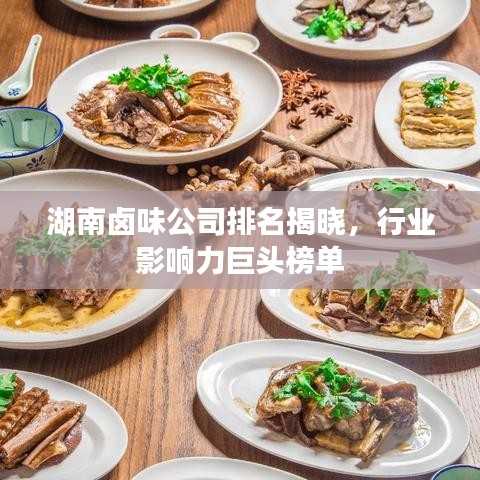 湖南鹵味公司排名揭曉，行業(yè)影響力巨頭榜單