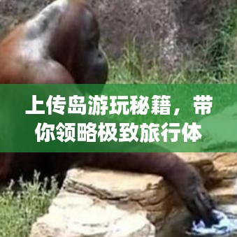 上傳島游玩秘籍，帶你領(lǐng)略極致旅行體驗(yàn)！