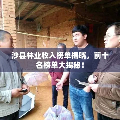 沙縣林業(yè)收入榜單揭曉，前十名榜單大揭秘！