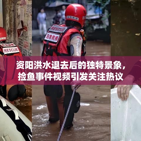 資陽洪水退去后的獨特景象，撿魚事件視頻引發(fā)關(guān)注熱議