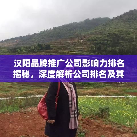 漢陽(yáng)品牌推廣公司影響力排名揭秘，深度解析公司排名及其影響力