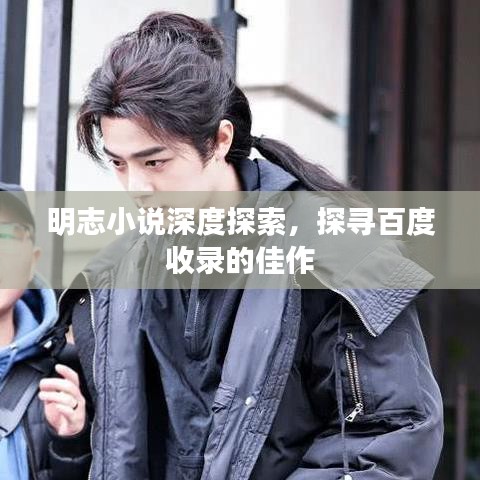 明志小說深度探索，探尋百度收錄的佳作